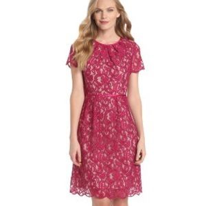 Adrianna Papell Scalloped Lace Dress